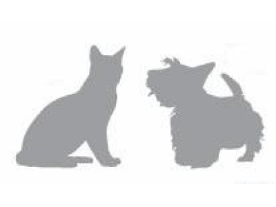 猫、小型犬用内镜